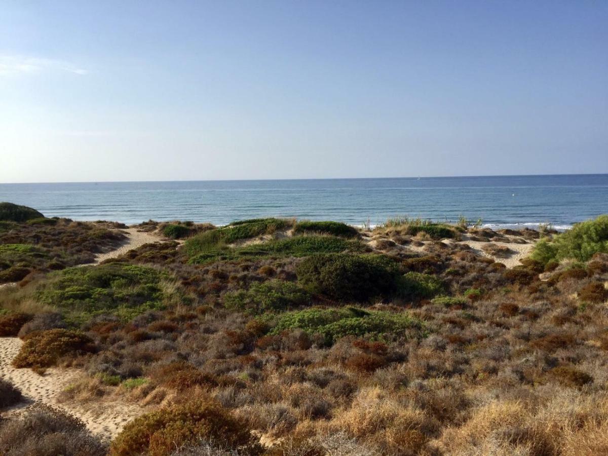 Apartamento Dunas Cabopino Marbella Dış mekan fotoğraf
